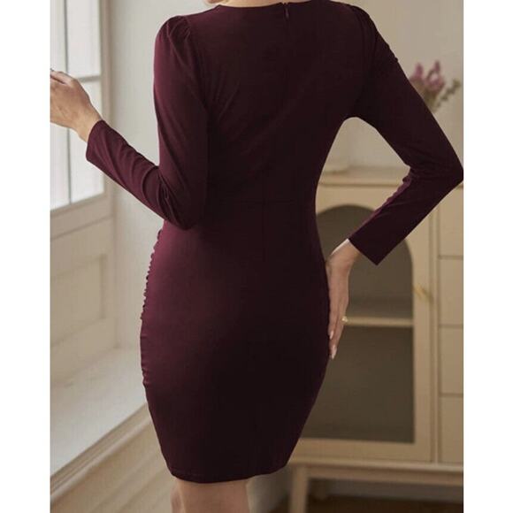 Sarin Mathews Deep V Neck Ruched Long Sleeve Mini Dress Burgandy NWT Size M - Picture 2 of 8